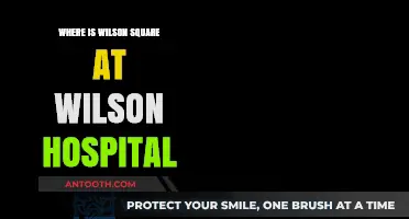 Locating Wilson Square: A Guide to Wilson Hospital's Hidden Gem