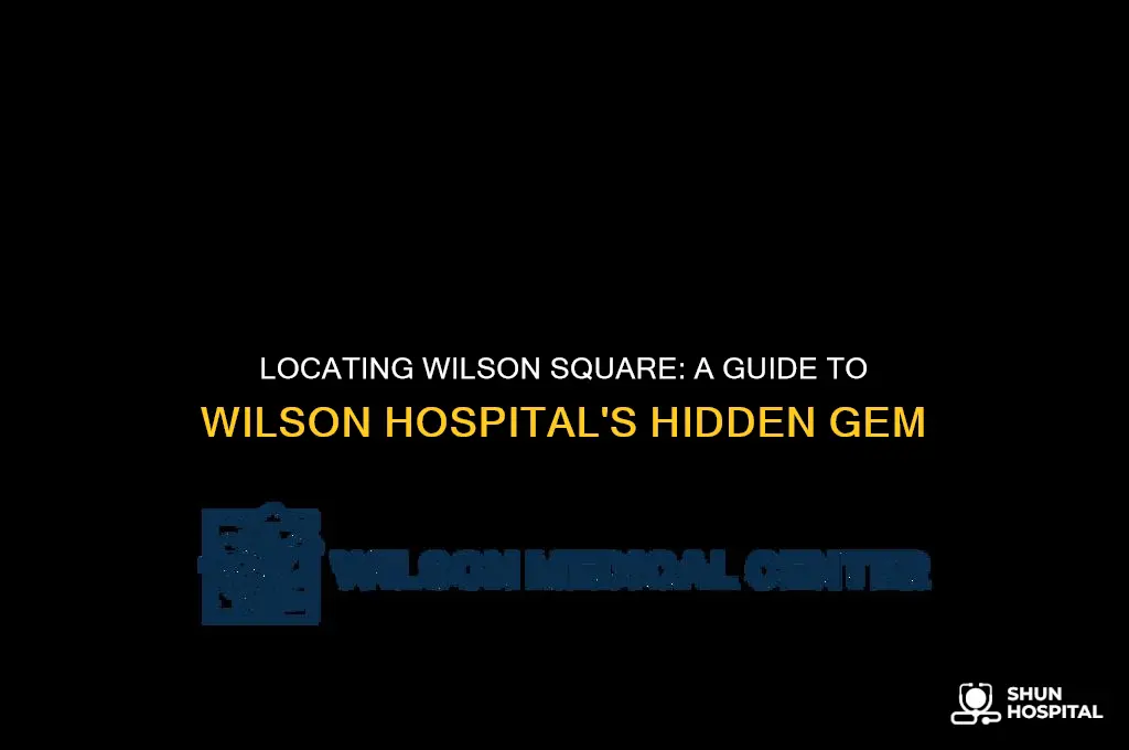 where is wilson square at wilson hospital