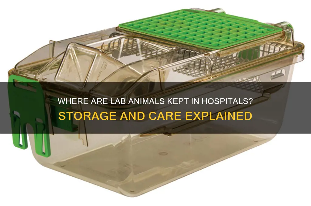 where lab animals usually stored in hospitals