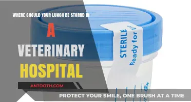 Safe Lunch Storage Tips for Veterinary Hospital Staff and Patients