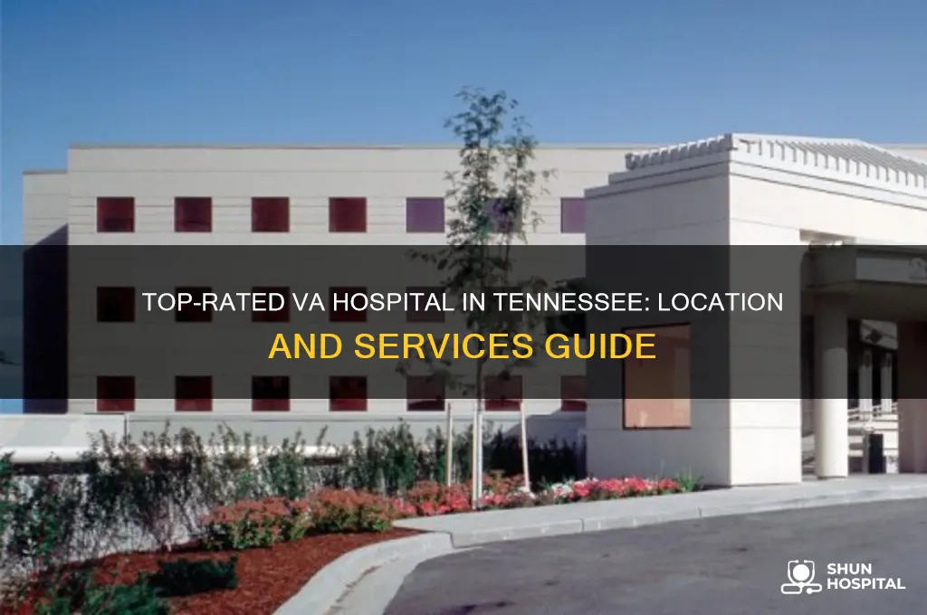 where the best rated va hospital located in tn