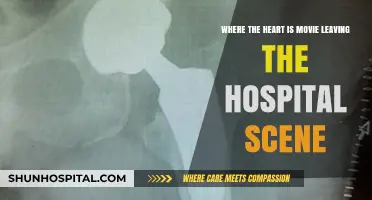Where the Heart Is: Emotional Hospital Departure Scene Analysis