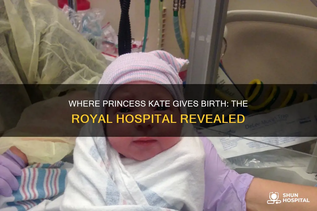 where the hospital princess kate gives birth