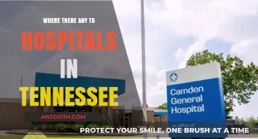 Exploring Tennessee's TB Healthcare: Are There Dedicated Hospitals Available?