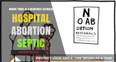 Catholic Hospitals, Abortion Complications, and the Heartbeat Debate: A Crisis