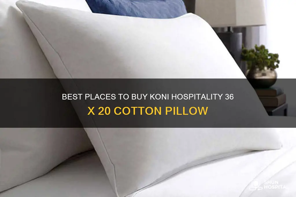where to buy koni hospitality 36 x 20 pillow cotton