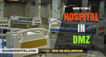 Locating Medical Care: Finding Hospitals in the DMZ Zone