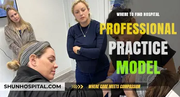 Exploring Hospital Professional Practice Models: Locations and Resources