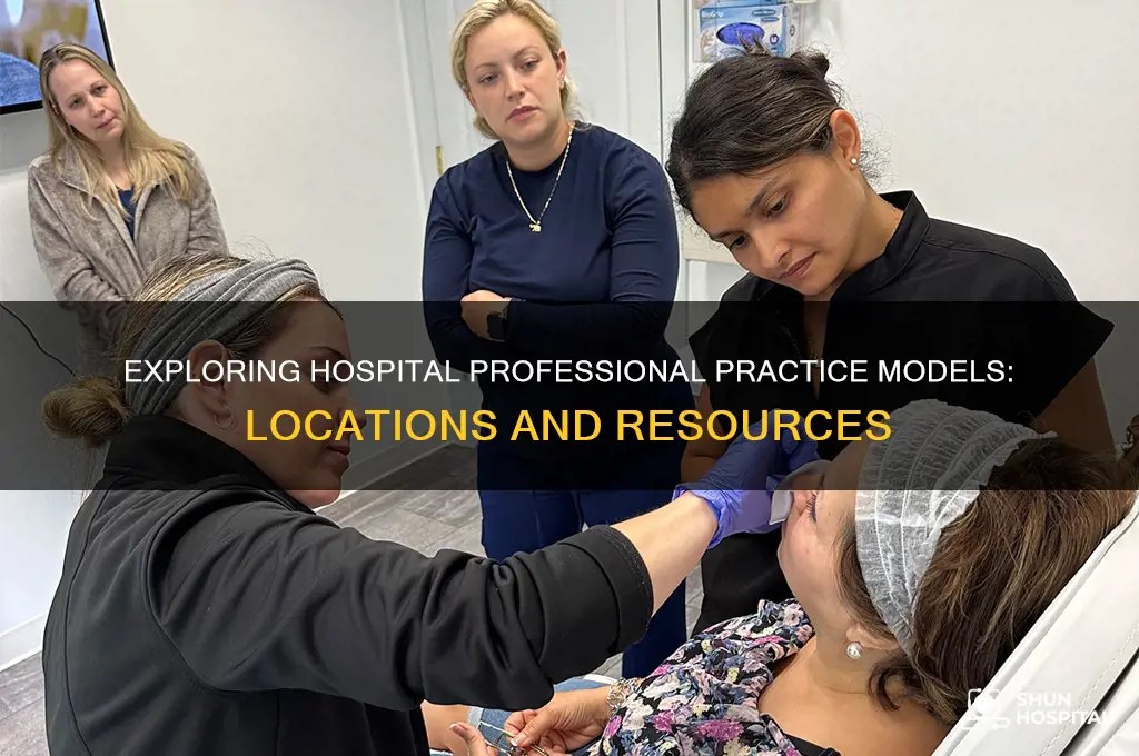 where to find hospital professional practice model