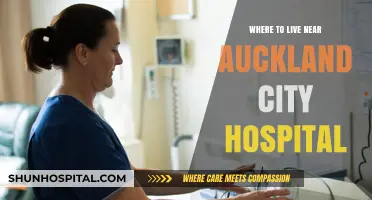 Top Auckland Neighborhoods Near City Hospital: Ideal Living Options