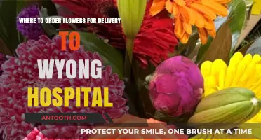 Best Flower Delivery Services for Wyong Hospital: Top Picks