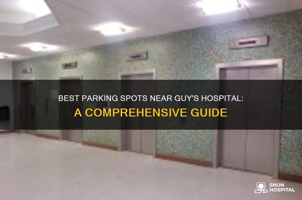 where to park near guy