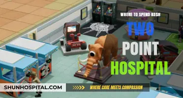 Strategic Spending in Two Point Hospital: Maximizing Your Kosh Effectively