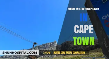 Top Cape Town Hospitality Schools: Your Guide to the Best Programs