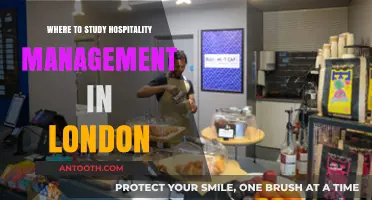 Top London Universities for Hospitality Management Programs and Careers