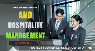 Top Global Destinations for Tourism and Hospitality Management Studies