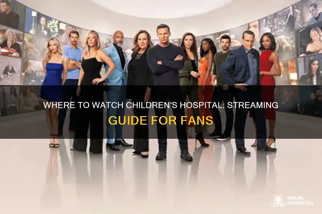 where to watch childrens hospital