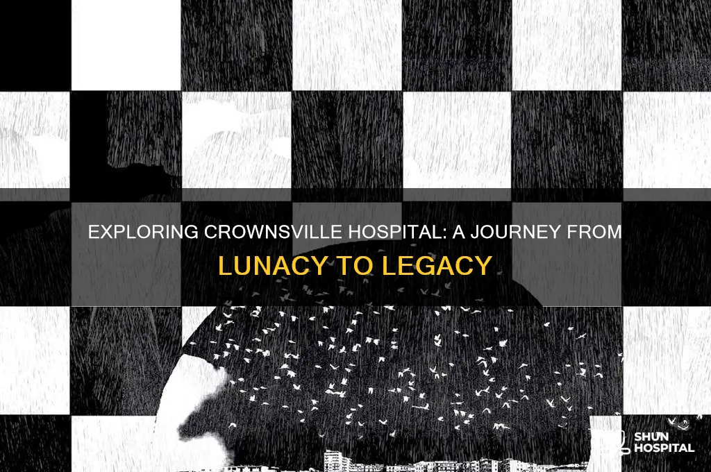 where to watch crownsville hospital from lunacy to legacy