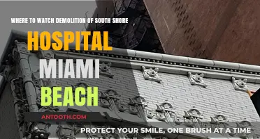 Witness the South Shore Hospital Miami Beach Demolition: Top Viewing Spots