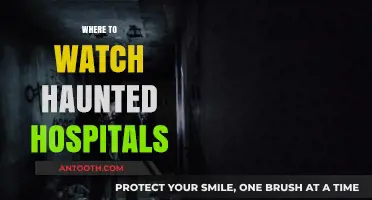 Spooky Streaming: Where to Watch Haunted Hospitals Online