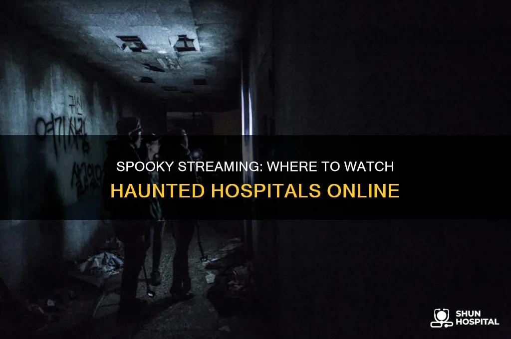 where to watch haunted hospitals