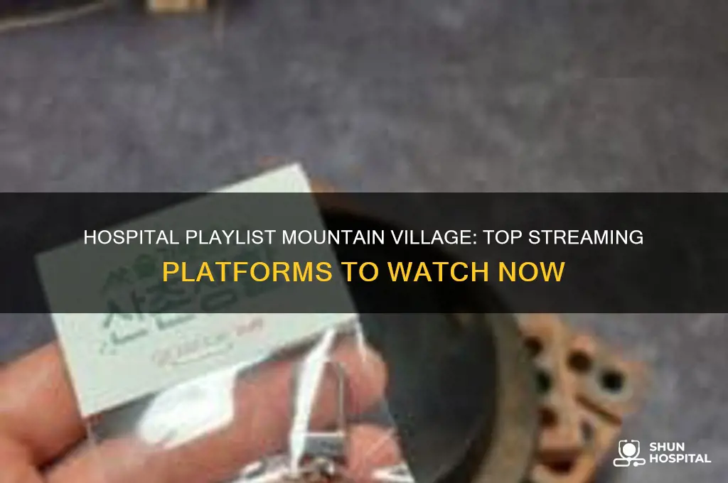 where to watch hospital playlist mountain village