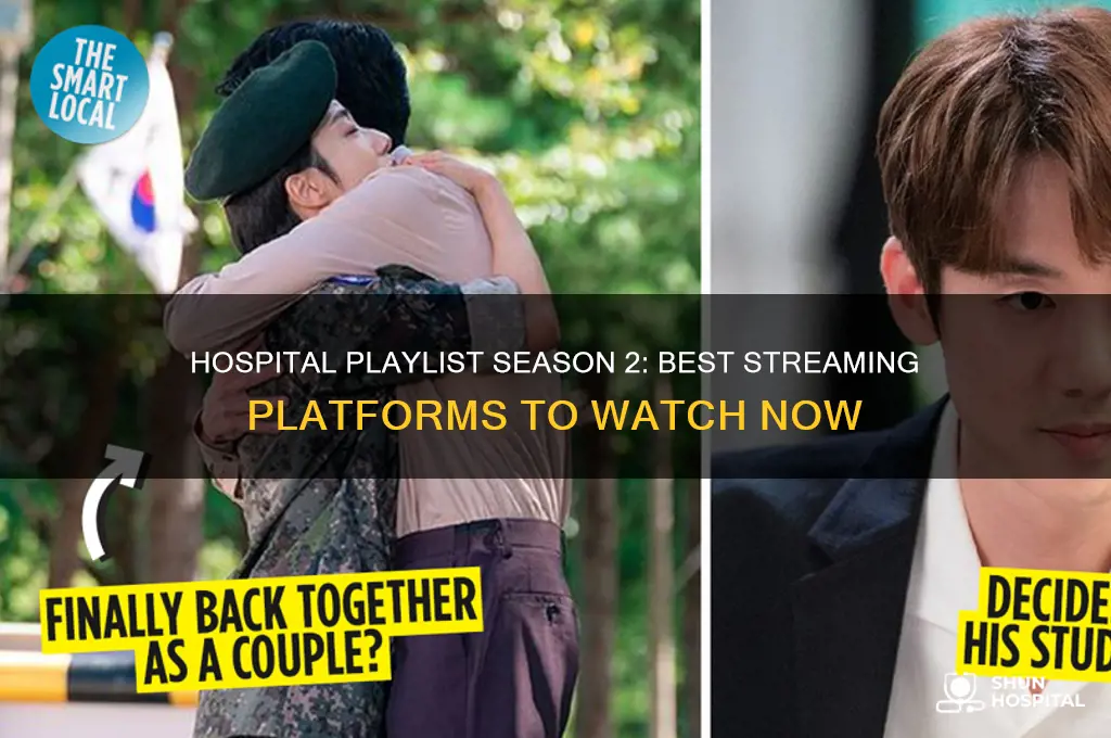where to watch hospital playlist season 2