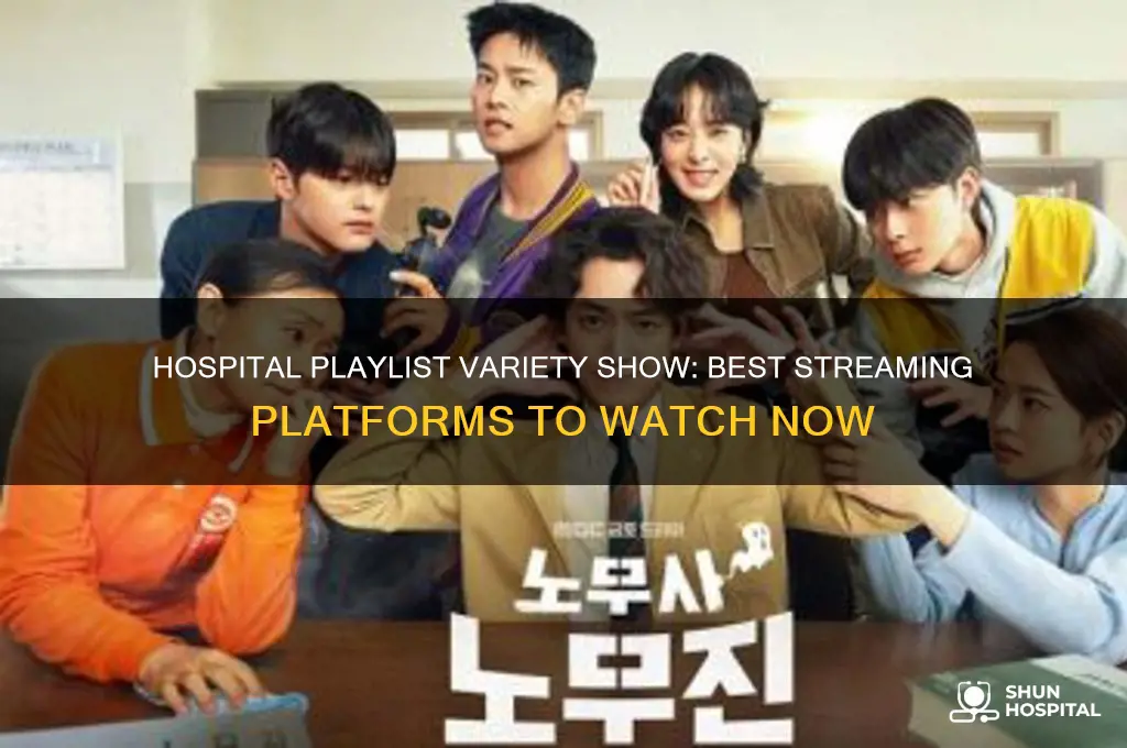 where to watch hospital playlist variety show