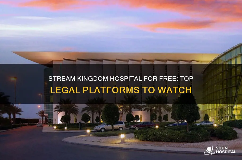 where to watch kingdom hospital for free