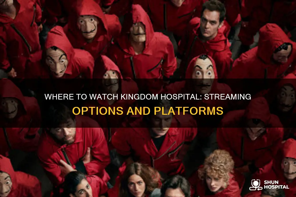 where to watch kingdom hospital