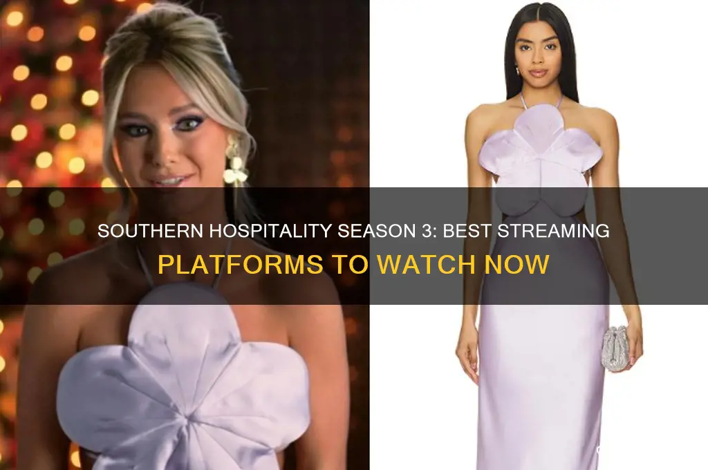where to watch southern hospitality season 3