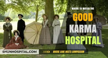 Where to Stream The Good Karma Hospital: Top Platforms