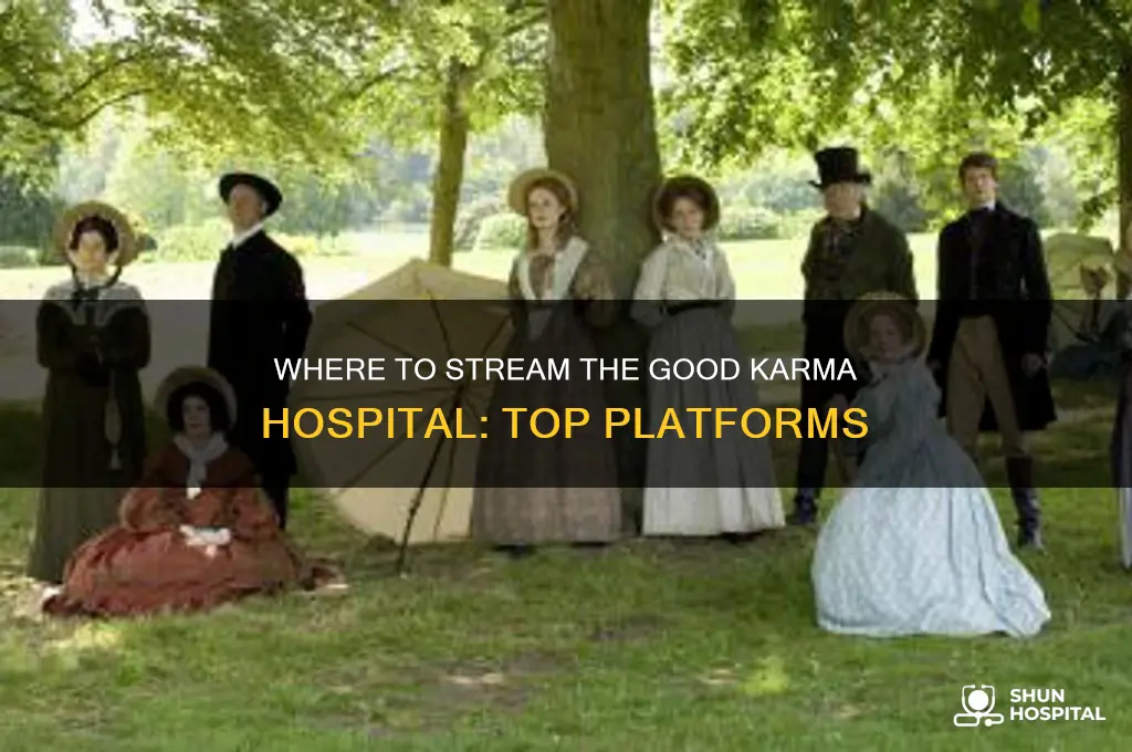where to watch the good karma hospital