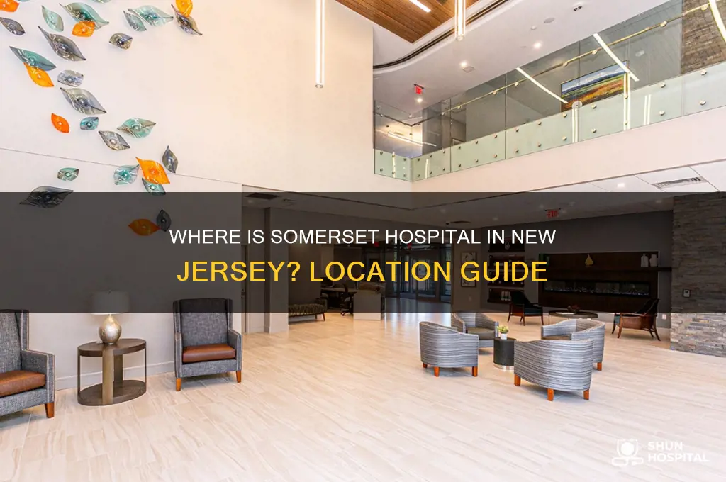where us somerset hospital in new jersey