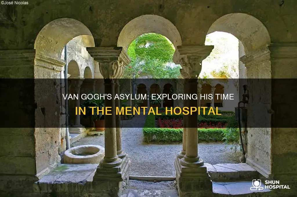 where van gouh was in meental hospital