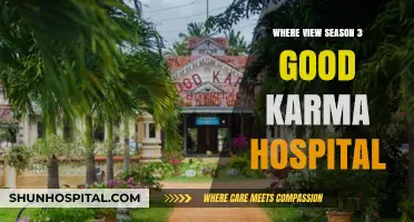 Where to Watch Season 3 of The Good Karma Hospital