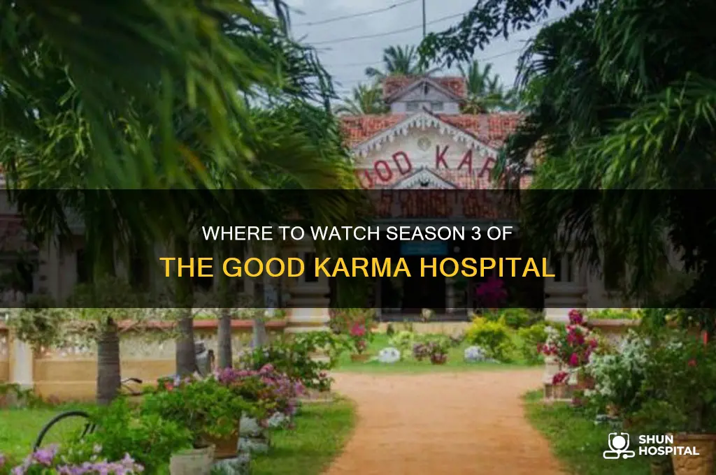 where view season 3 good karma hospital