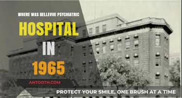 Unveiling Bellevue Psychiatric Hospital's 1965 Location: A Historical Journey