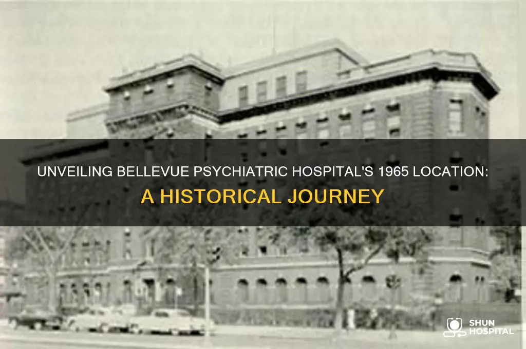 where was bellevue psychiatric hospital in 1965