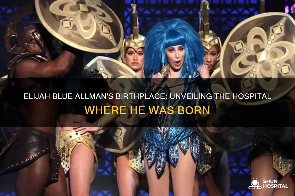where was elijah blue allman born hospital