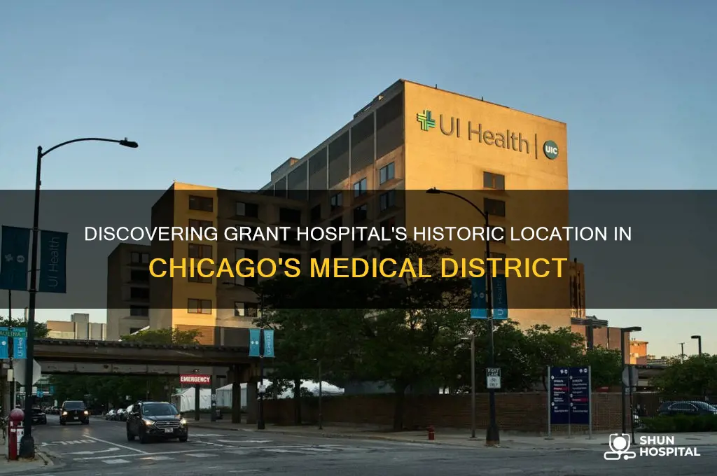 where was grant hospital located in chicago