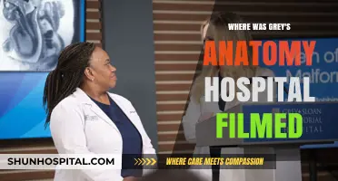 Unveiling the Real-Life Location of Grey's Anatomy Hospital
