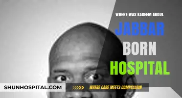 Kareem Abdul-Jabbar's Birthplace: Unveiling the Hospital Where the Legend Began
