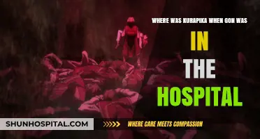 Kurapika's Absence: Where Was He During Gon's Hospital Stay?