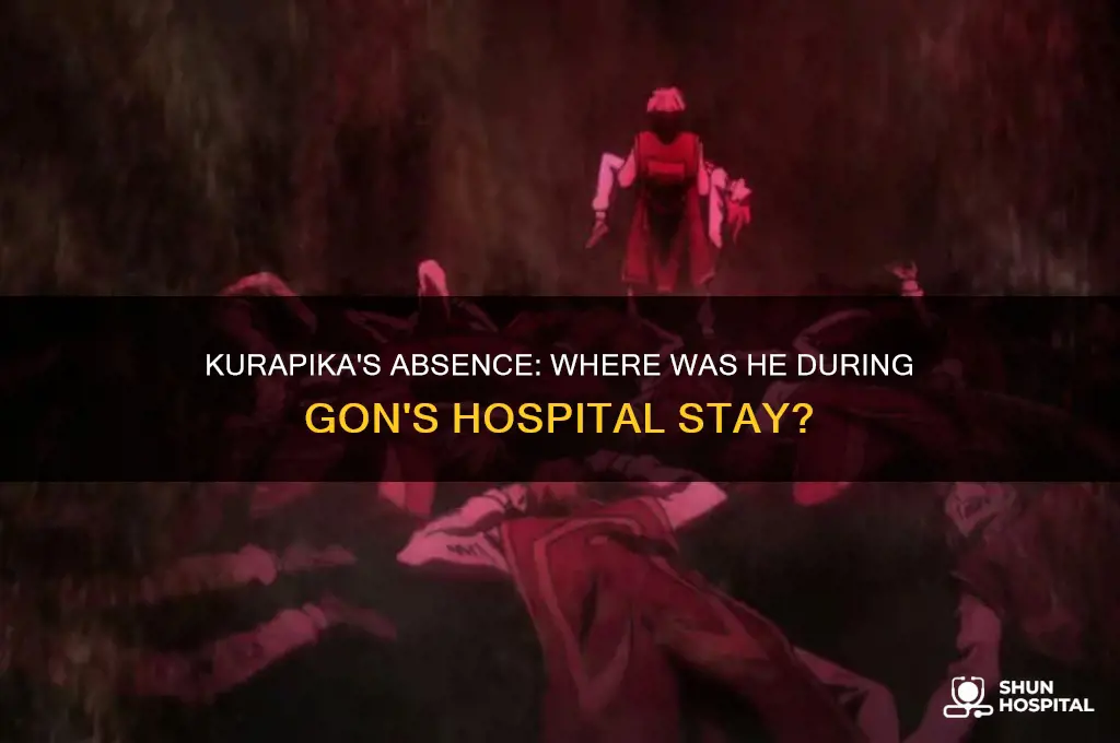 where was kurapika when gon was in the hospital