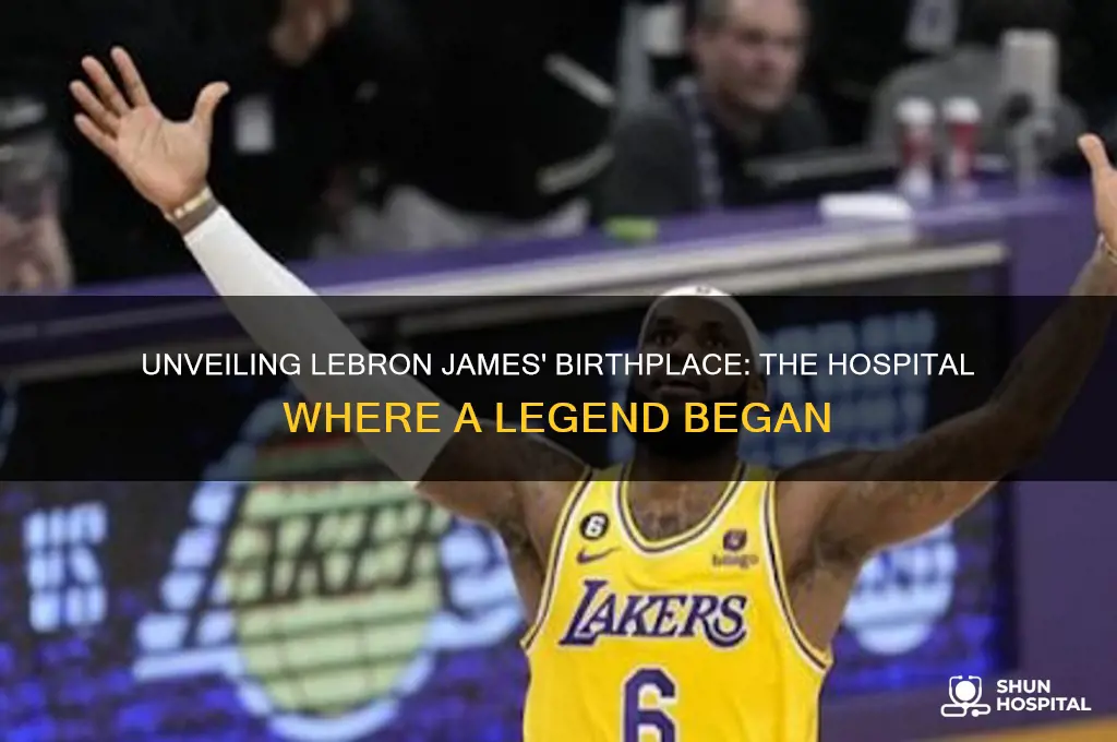 where was lebron born hospital