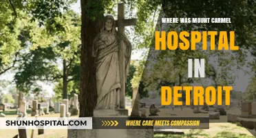 Uncovering Detroit's History: The Location of Mount Carmel Hospital