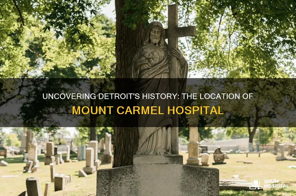 where was mount carmel hospital in detroit