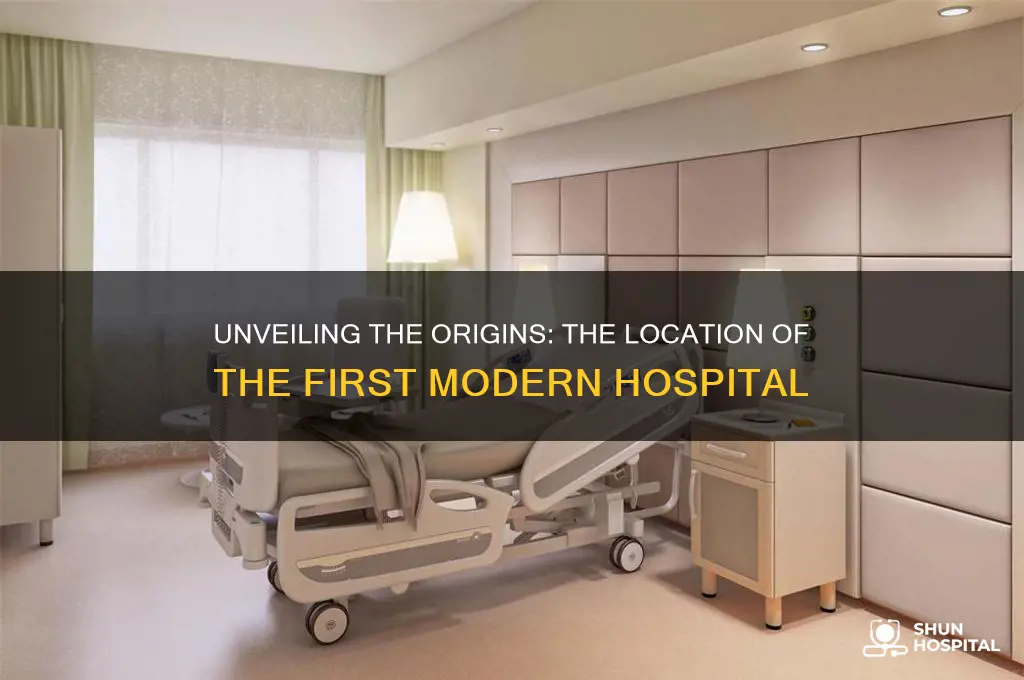 where was the 1st modern hospital located