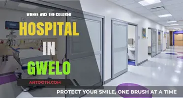 Uncovering Gwelo's Colored Hospital: Location and Historical Significance